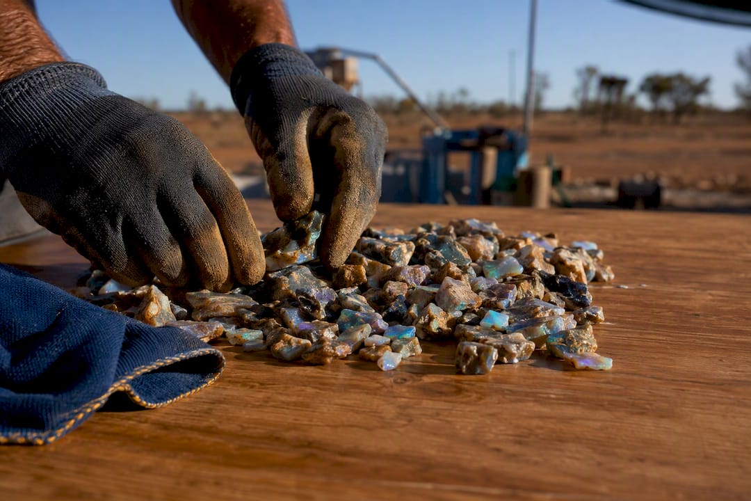 Rough opal sorted at an Australian mine