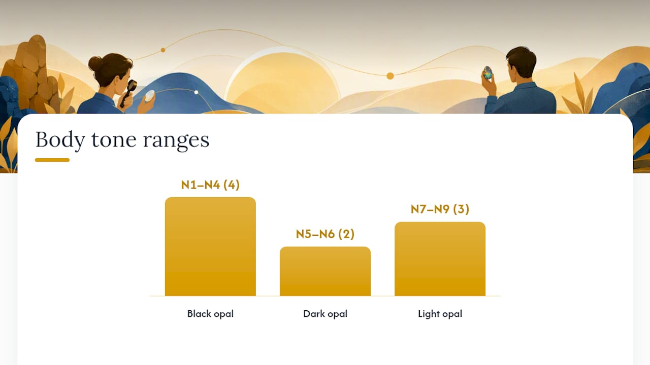 Why Does the N1–N9 Body Tone Scale Matter So Much? — overview diagram
