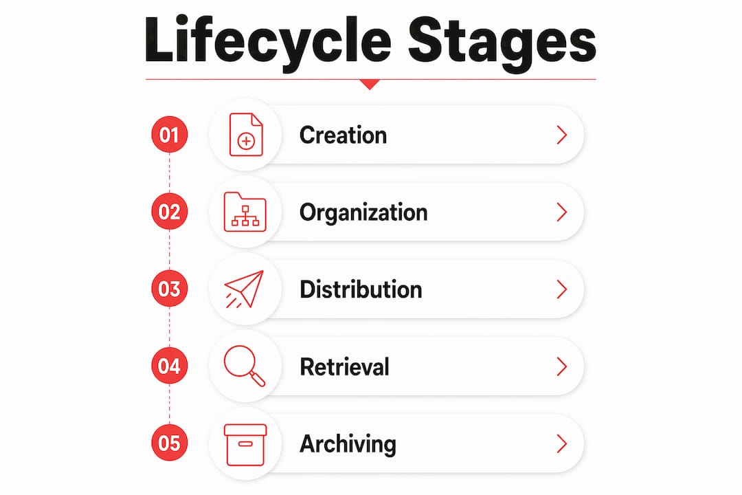 Infographic showing digital asset lifecycle stages