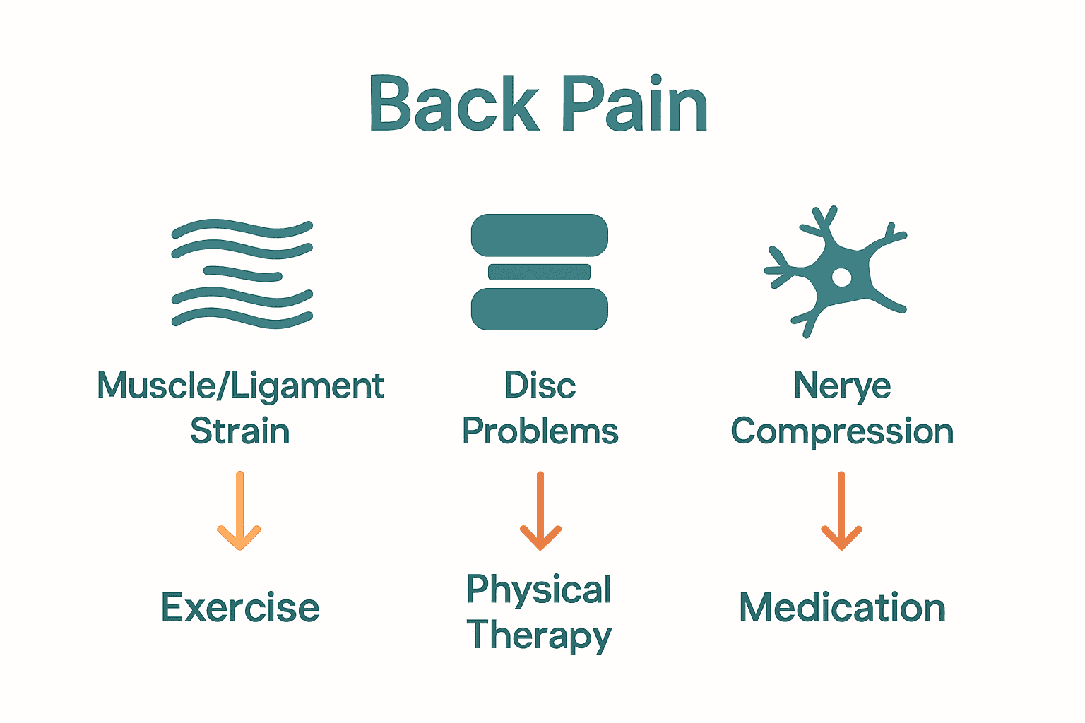 Infographic showing major causes of back pain: muscle, disc, nerve.
