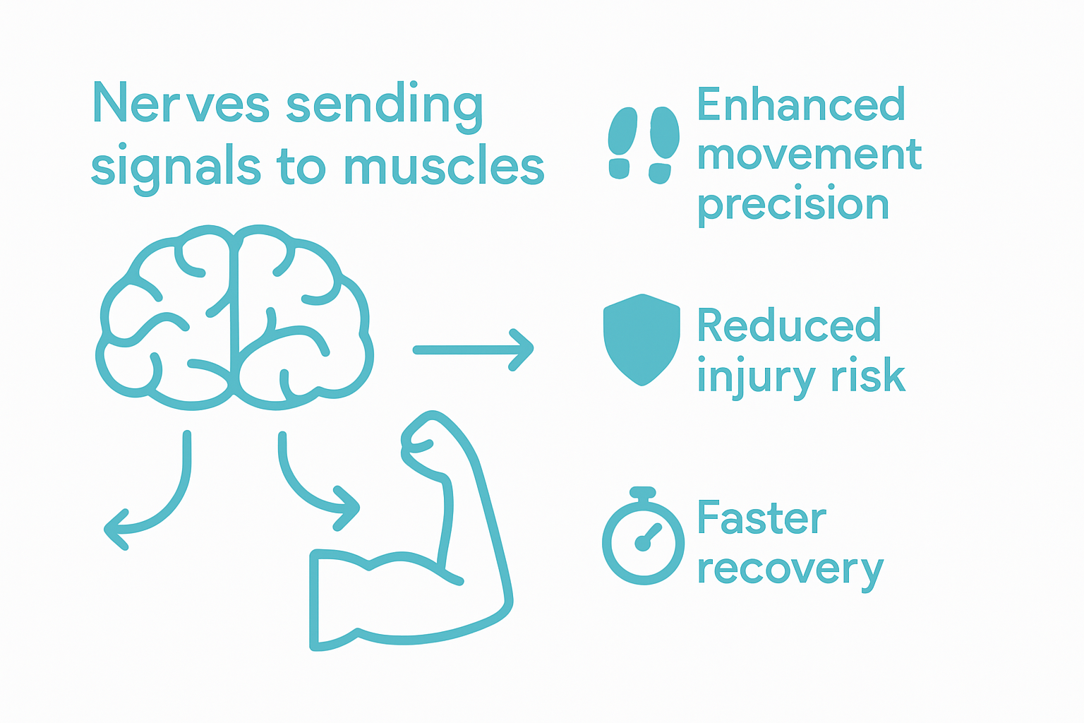 Benefits of optimized neuro-muscular function infographic