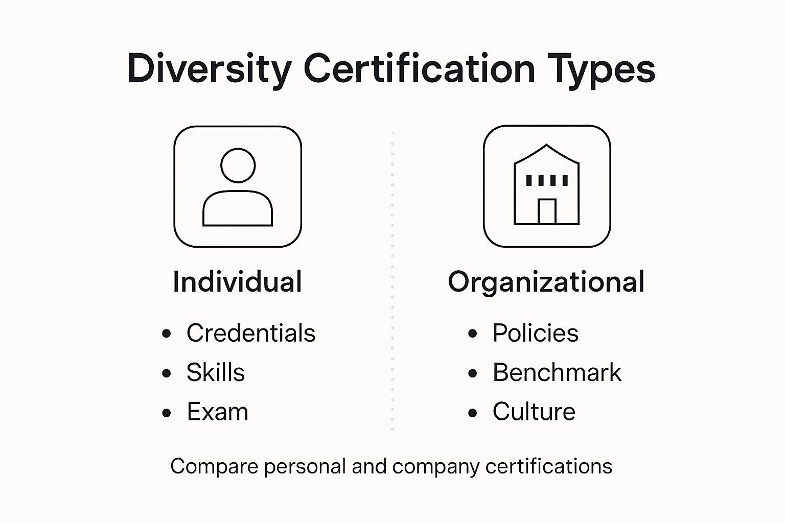 Infographic showing diversity certification types overview