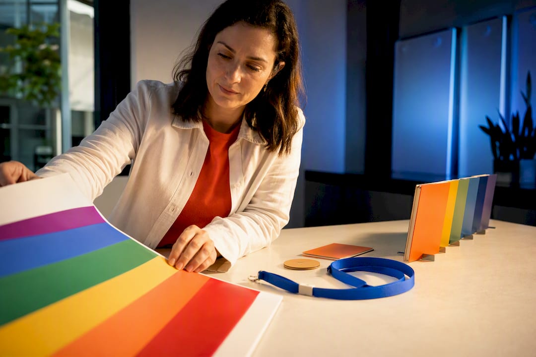 Rainbow campaign materials beside inclusion evidence