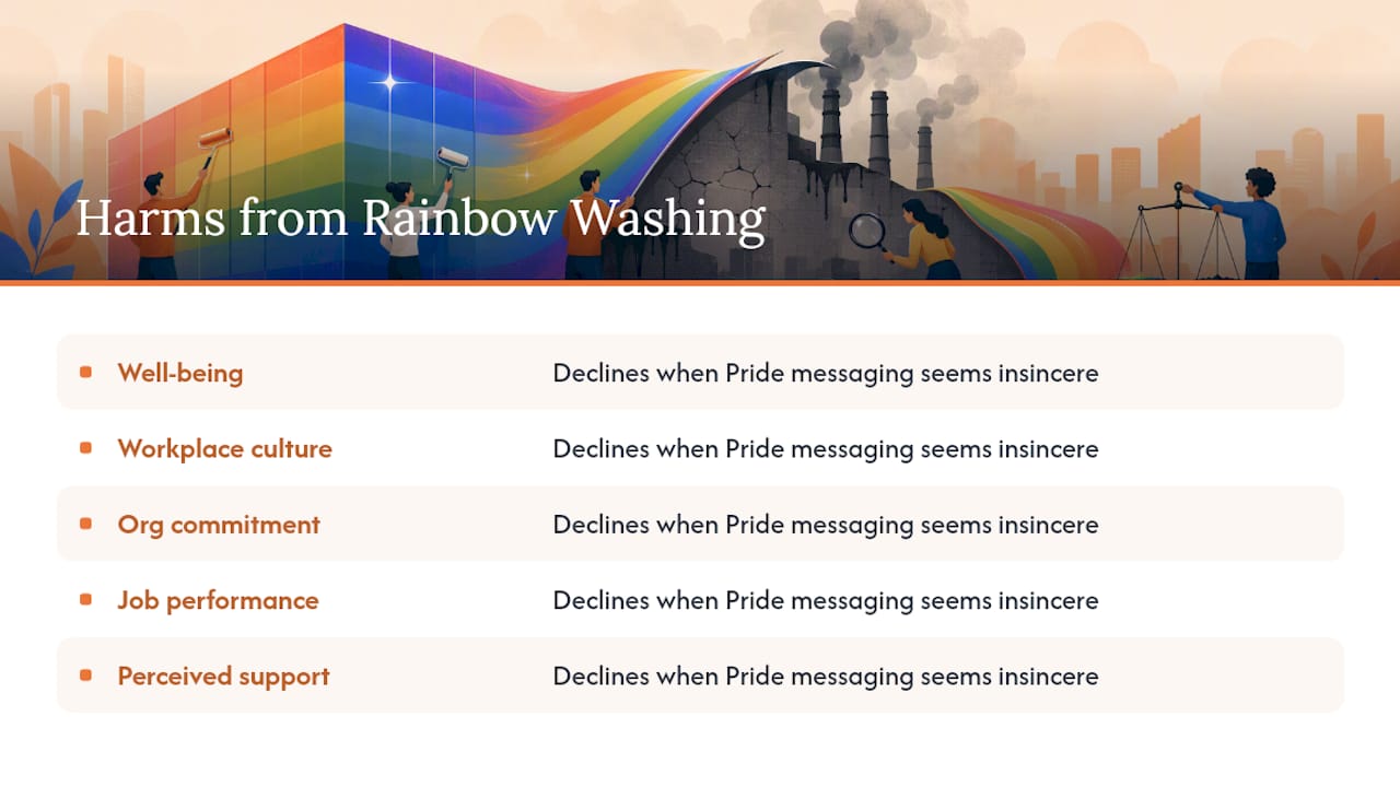 Why Rainbow Washing Actually Hurts People and Organizations — overview diagram