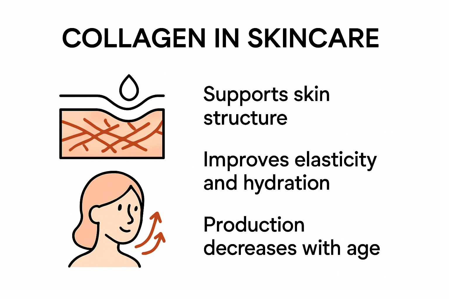 Infographic showing how collagen benefits skin health