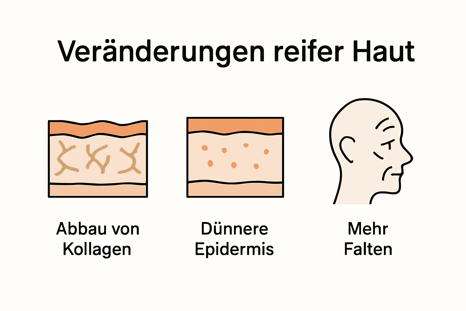 Infografik: So verändert sich die Haut im Laufe der Jahre