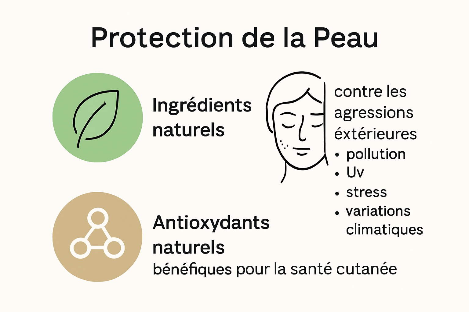 Infografía: protección de la piel mediante ingredientes naturales y antioxidantes
