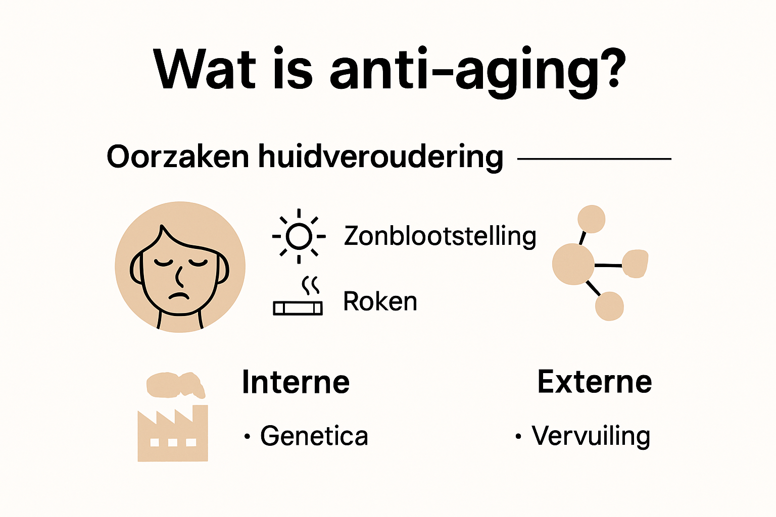Overzicht van wat anti-aging is en welke factoren huidveroudering beïnvloeden
