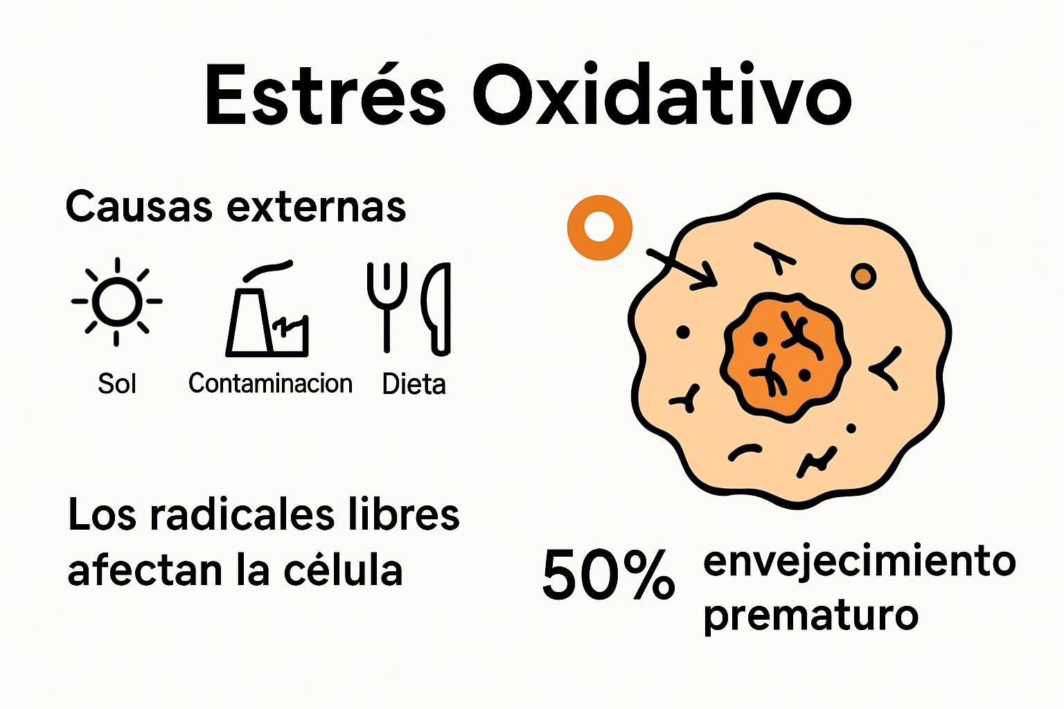 Infographic on oxidative stress and causes of premature aging
