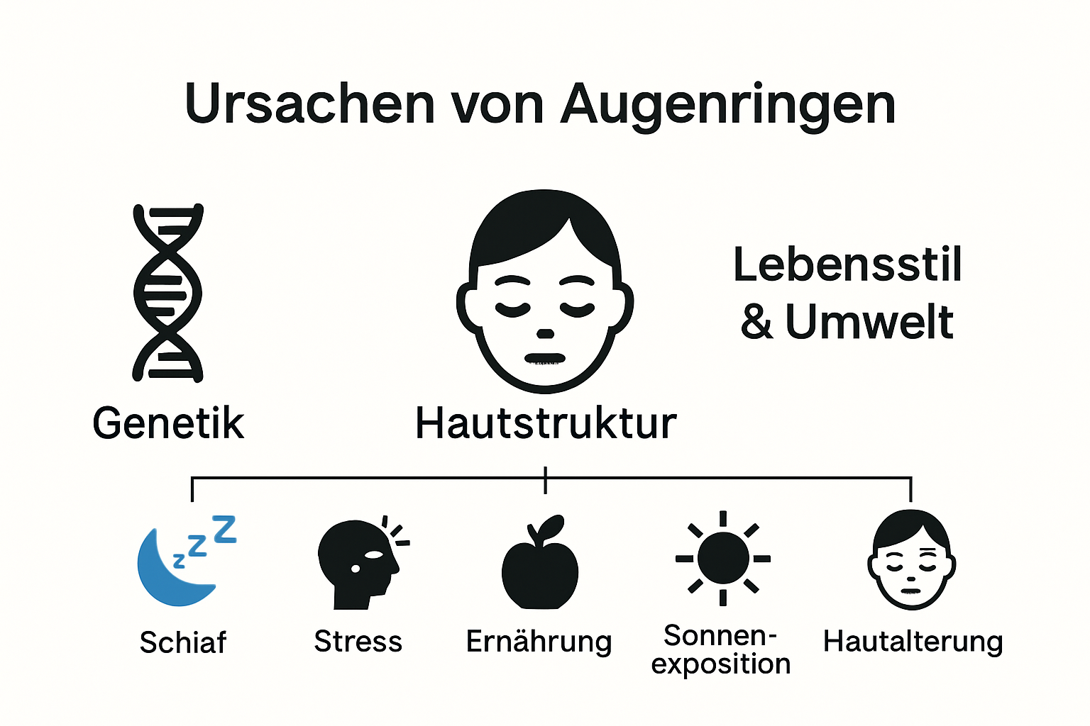 Infographic mapping causes of dark circles