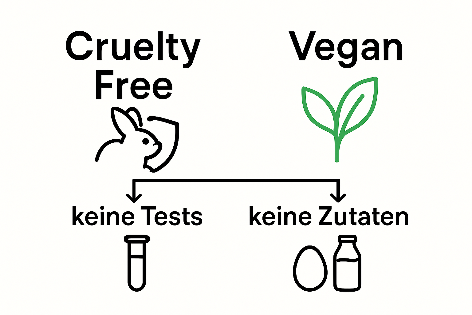 Infographic showing difference cruelty free vs vegan cosmetics
