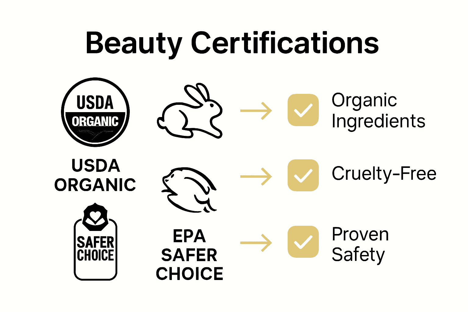 Comparison of major sustainable beauty certifications with features checklist