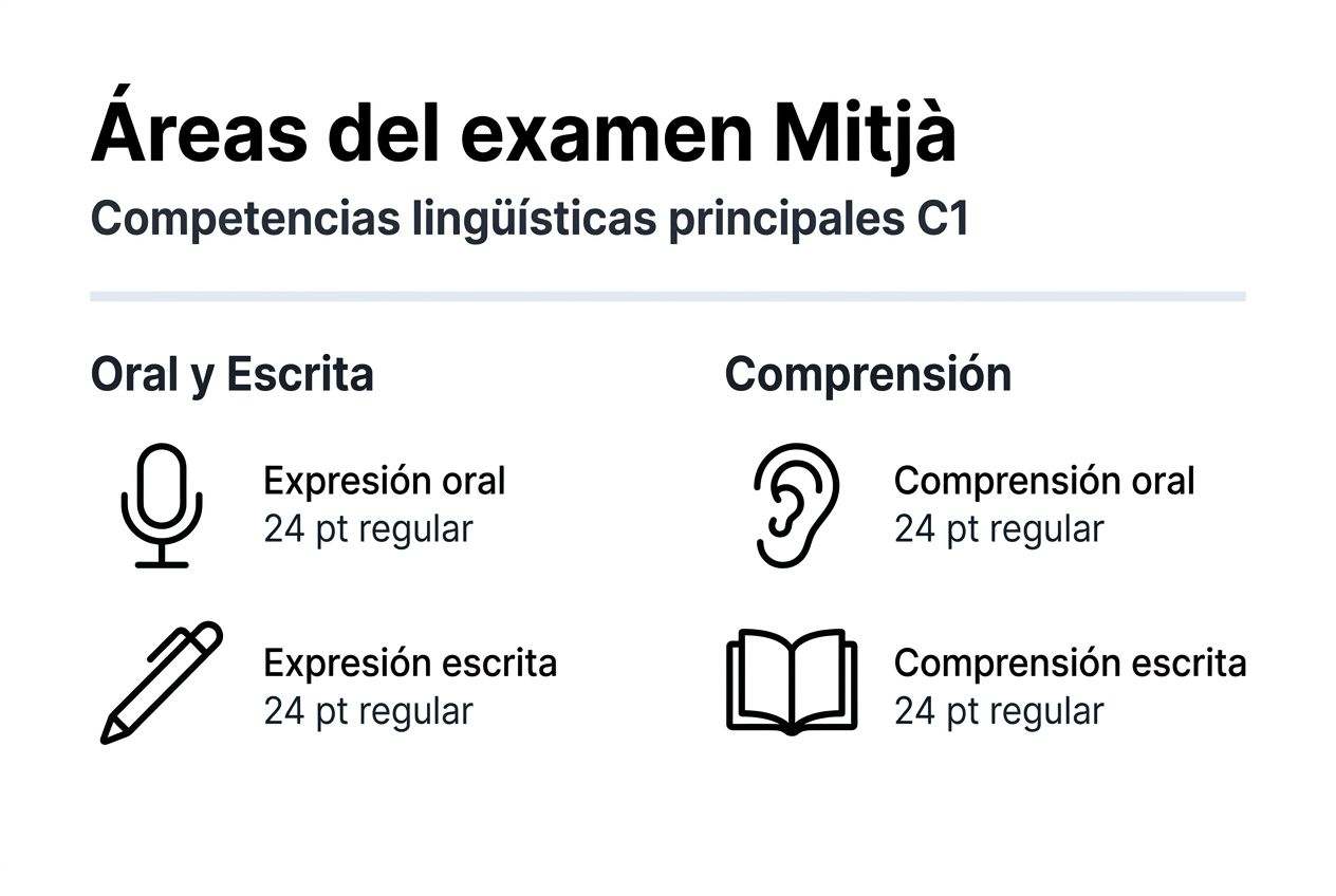 Infografía sobre cómo se organiza el examen de valenciano nivel mitjà
