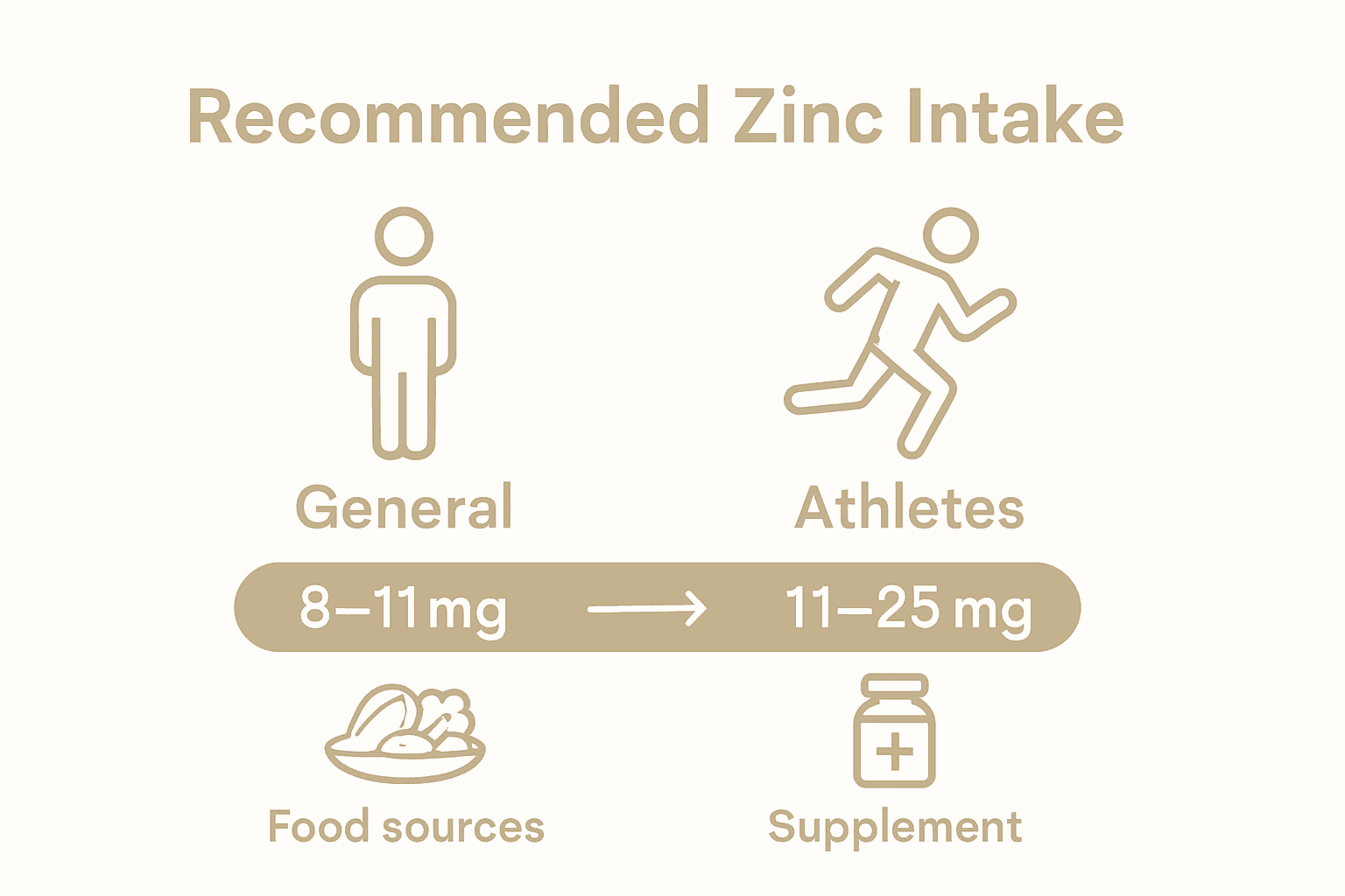 Infographic comparing daily zinc needs for athletes versus general adults.
