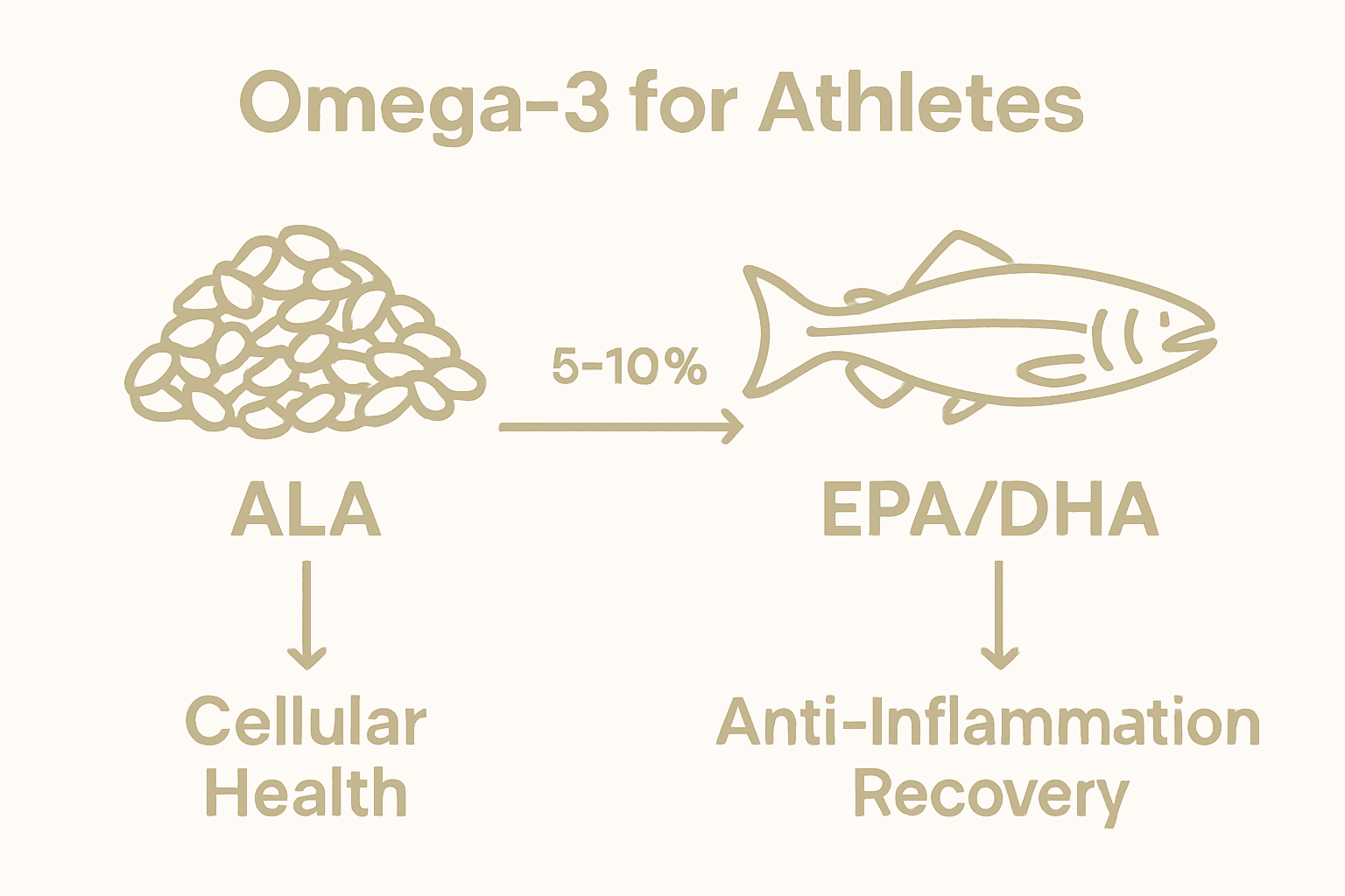 Infographic showing plant versus marine omega-3 sources and their athletic benefits.