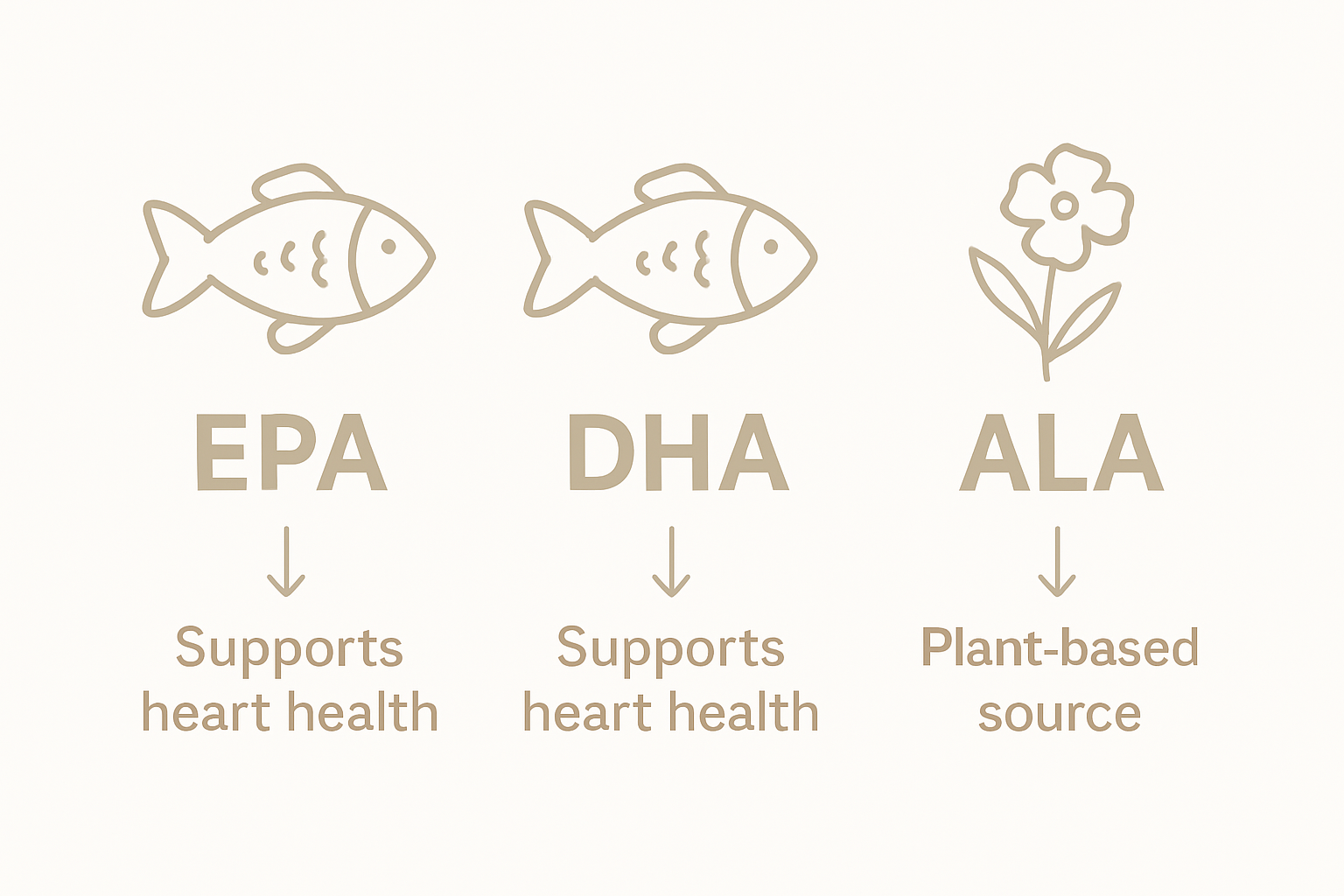 Infographic comparing omega-3 types and sources