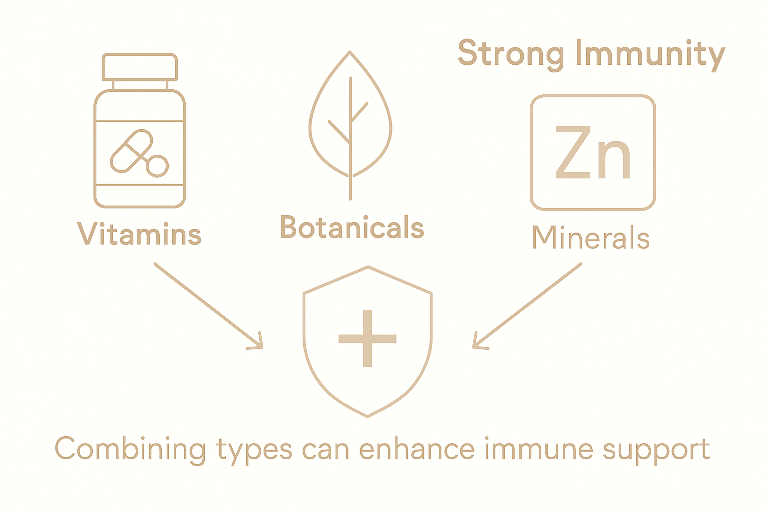 Infographic comparing key immune supplements