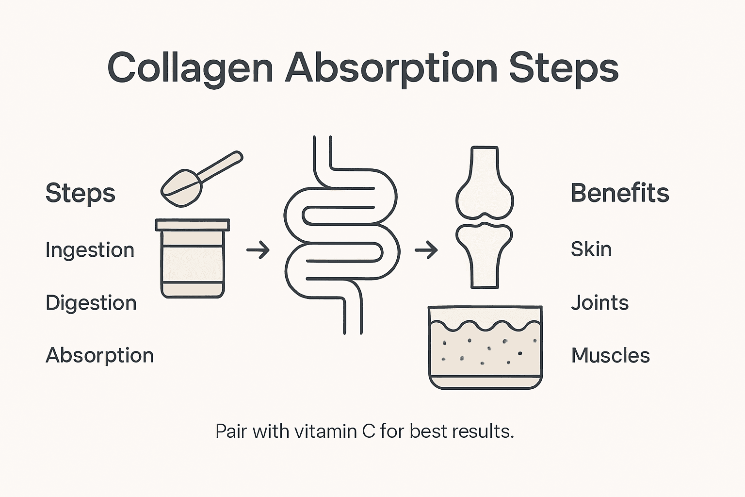 Infographic showing collagen absorption and benefits
