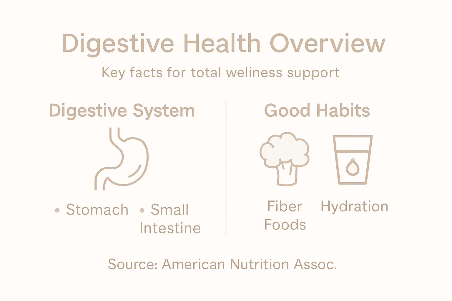 Infographic showing digestive health and good habits
