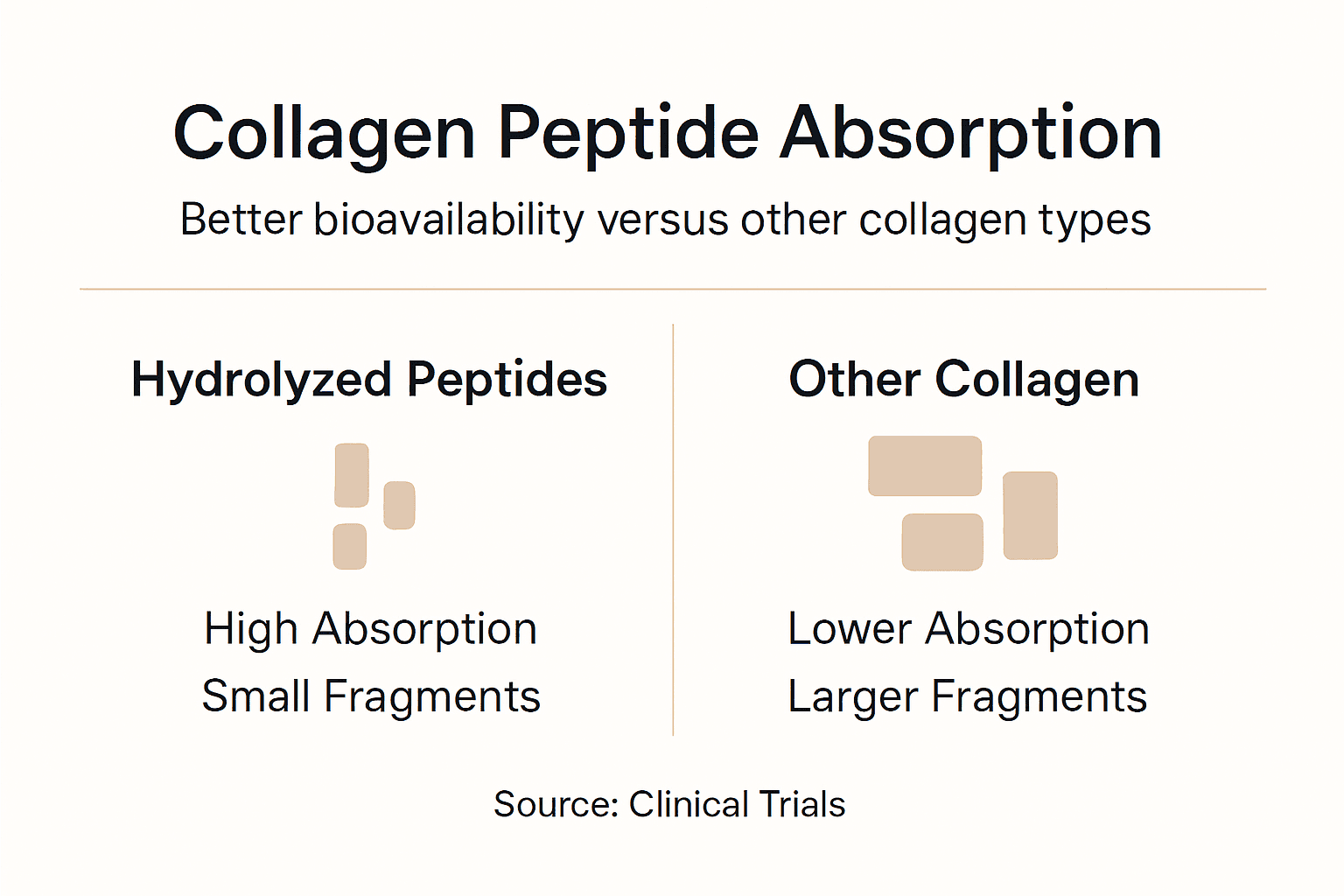 Infographic comparing collagen absorption rates