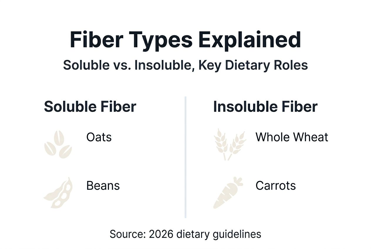 Infographic showing fiber types with examples