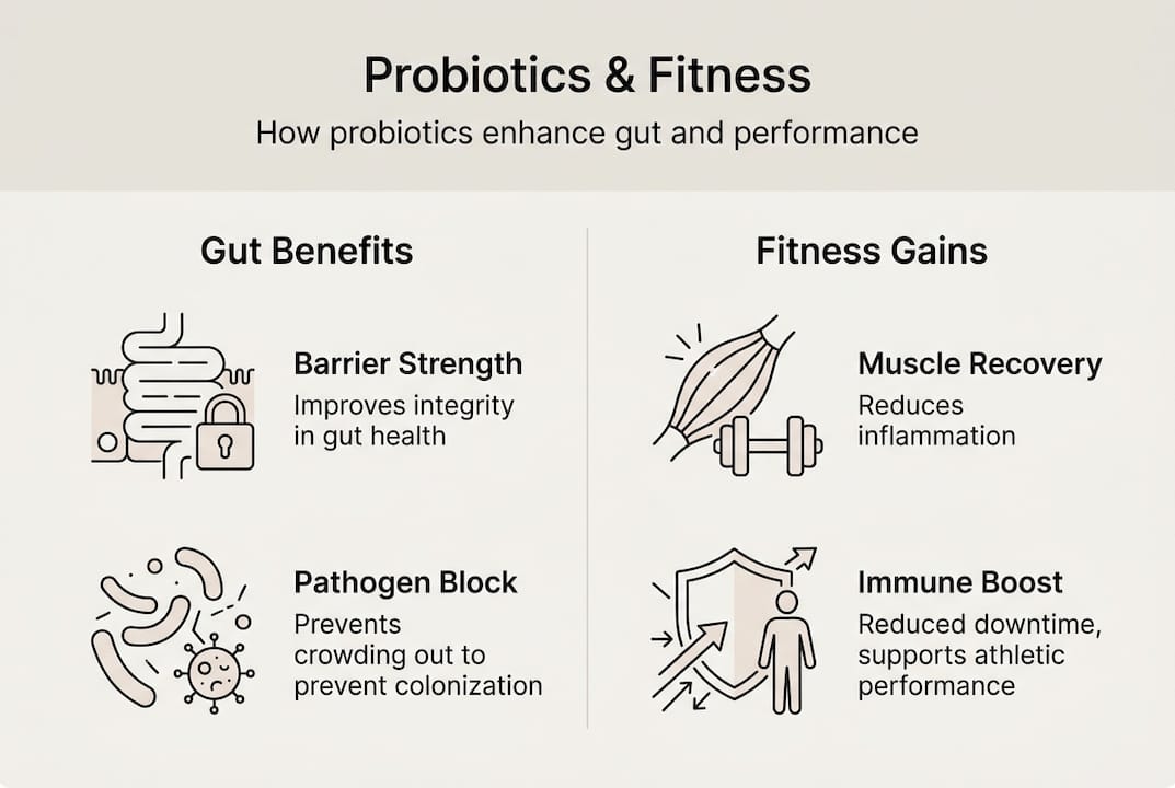 Infographic linking probiotics with gut and fitness