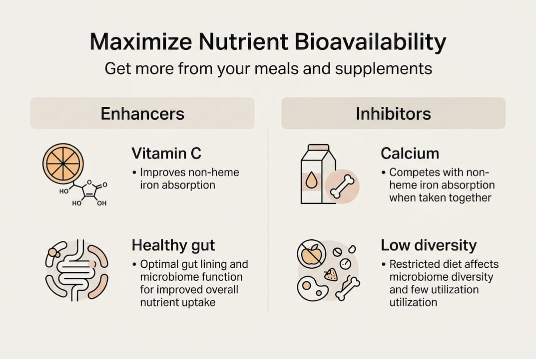 Infographic showing nutrient bioavailability enhancers