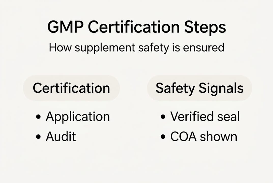Infographic showing GMP certification steps and safety