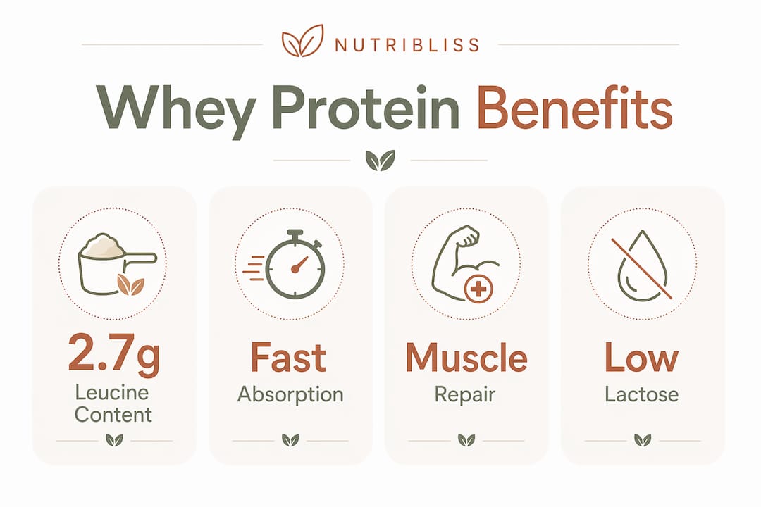 Infographic showing key whey protein recovery benefits