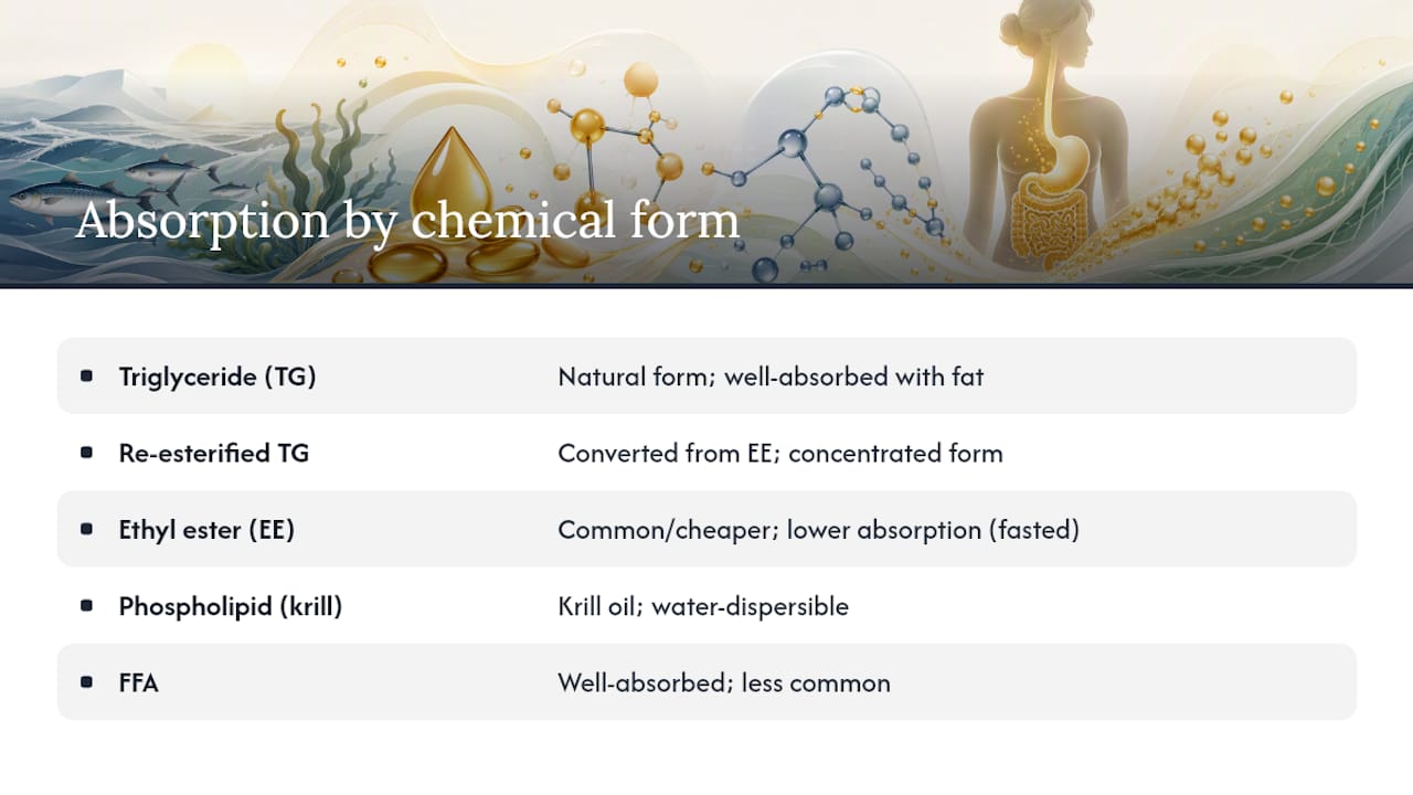 Diagram comparing omega-3 chemical form absorption