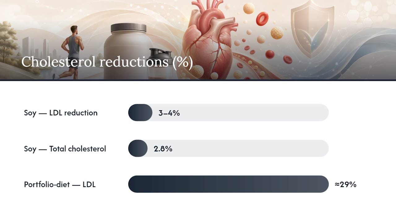 Whey Protein vs. Plant Protein for Lowering Cholesterol — overview diagram