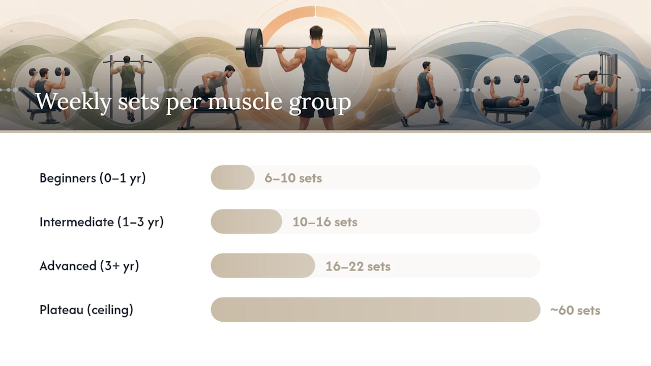 What Do Research and ACSM Guidance Say About Weekly Volume Limits? — overview diagram
