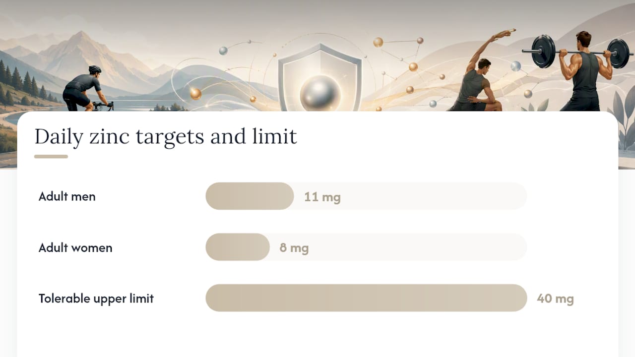 How Much Zinc Do You Actually Need Each Day? — overview diagram