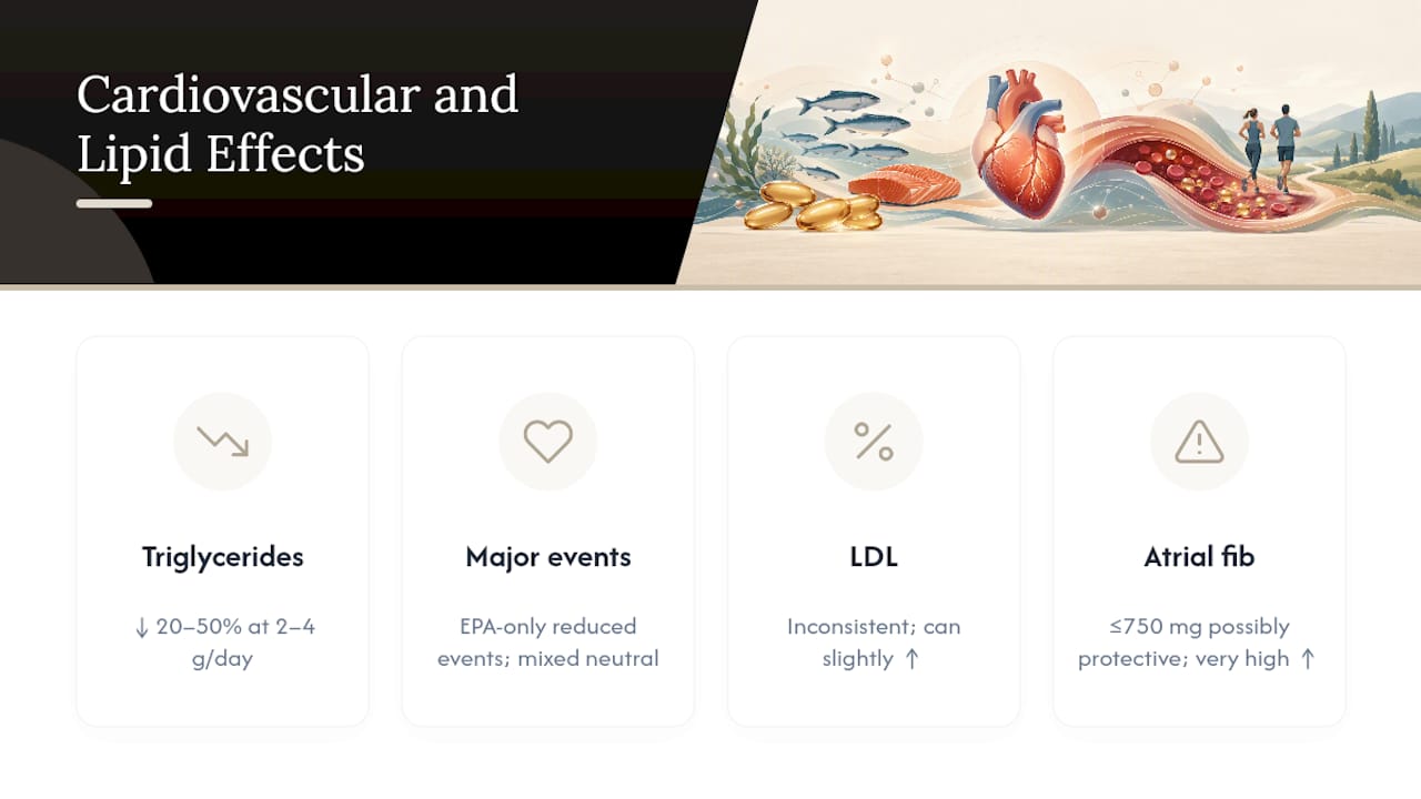 Cardiovascular Health and Triglycerides — overview diagram