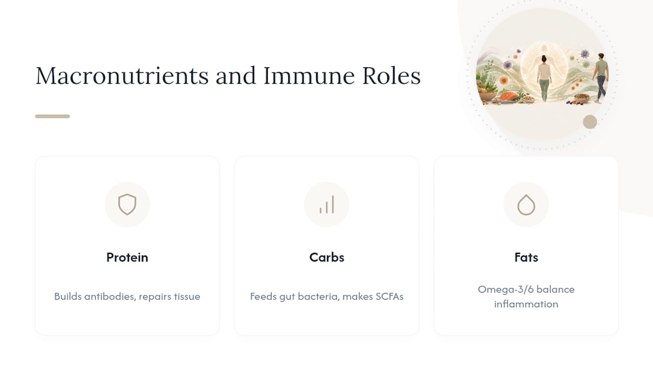 Macronutrients and their immune roles