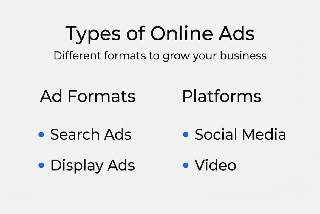 Infographic of online advertising types and formats