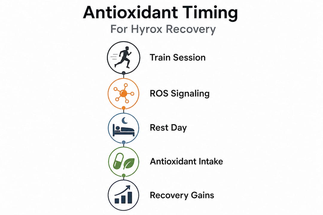 Infographic showing antioxidant timing steps for Hyrox