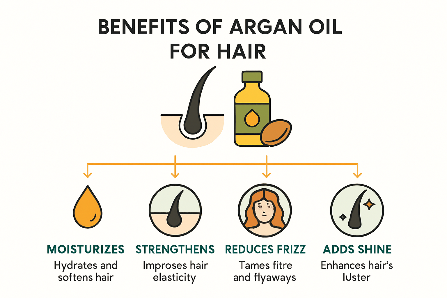 Infographic outlining benefits of argan oil for hair.