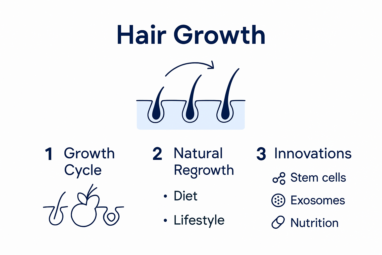 Infographie illustrant les différentes étapes du cycle naturel de croissance des cheveux ainsi que les principaux facteurs qui l’influencent.
