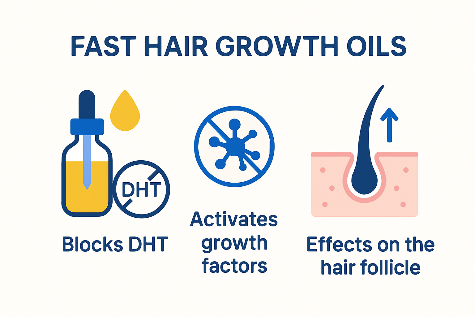 Infographic on biological mechanisms of fast hair growth oils