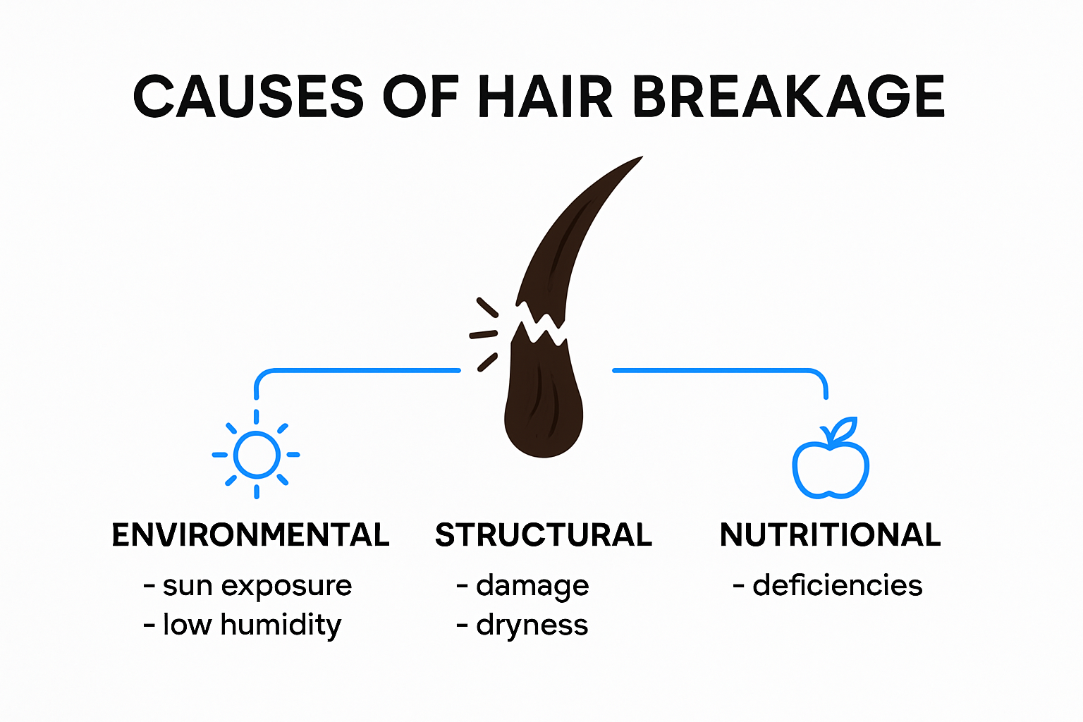 Infographic showing causes of hair breakage