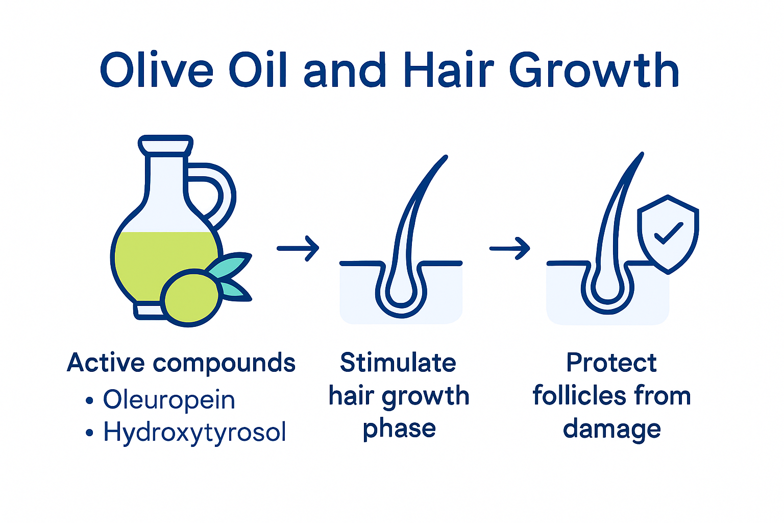Infographic showing olive oil compounds and hair growth benefits