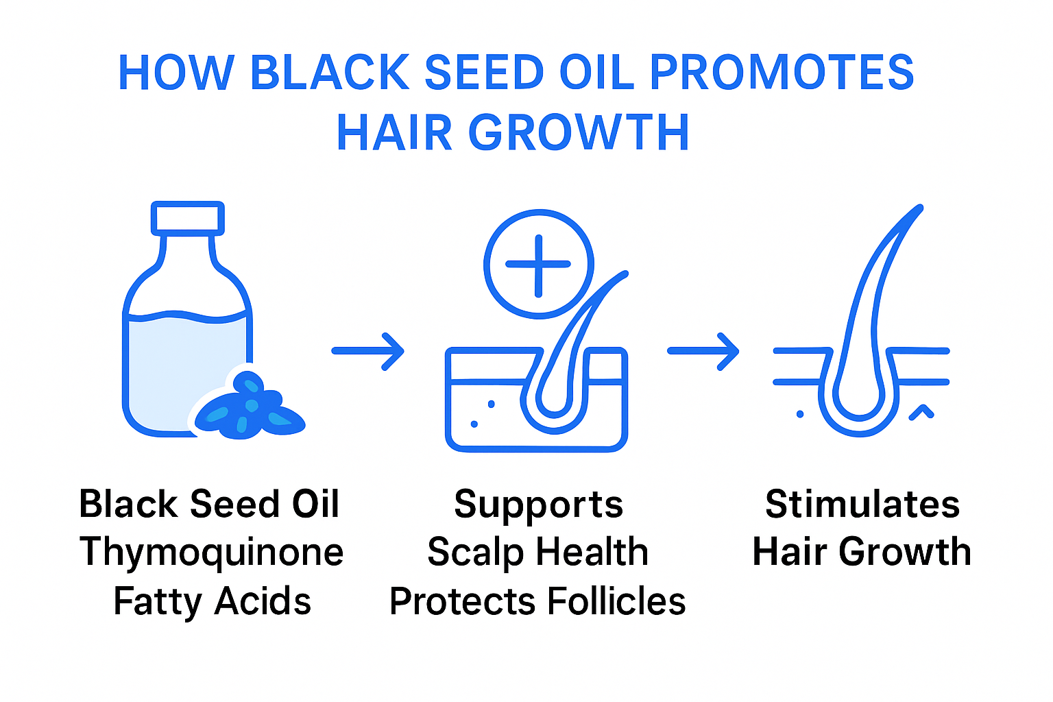 Infographic showing how black seed oil supports hair growth biologically