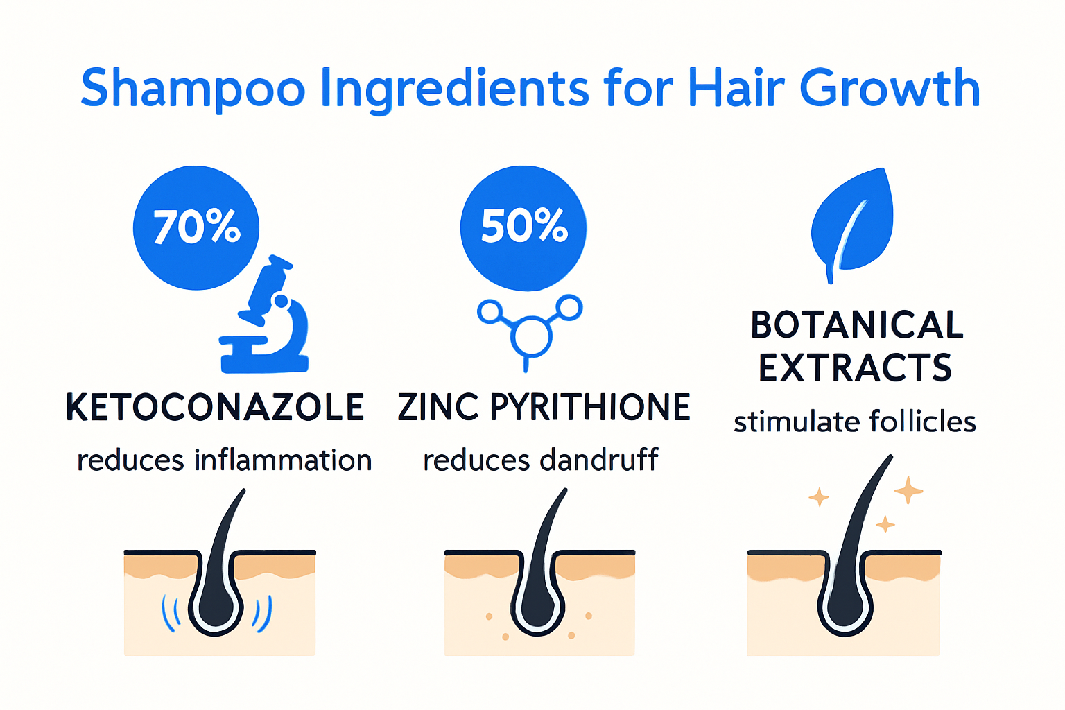 Infographic explaining active shampoo ingredients for hair growth