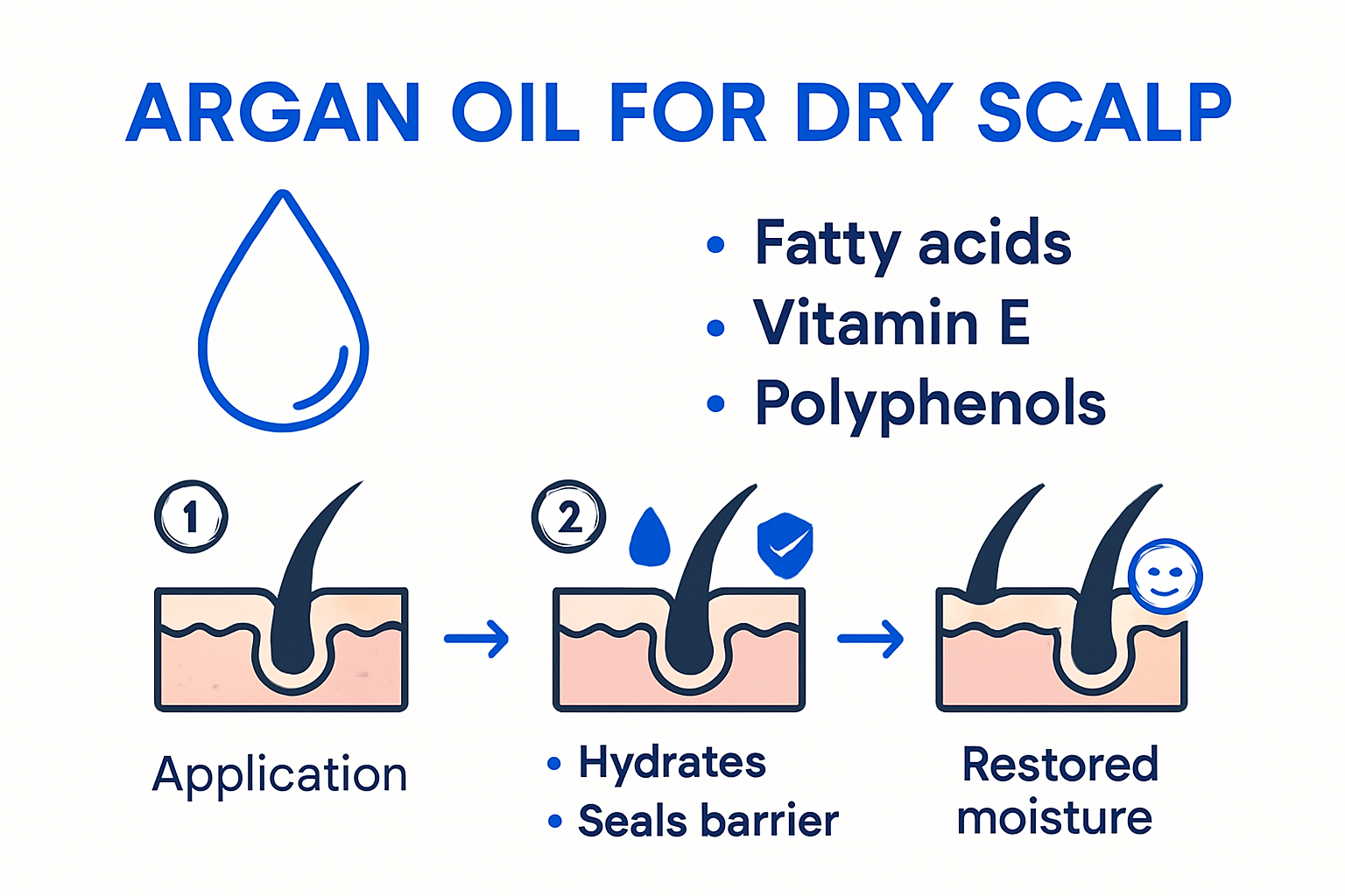 Infographic showing argan oil benefits for dry scalp