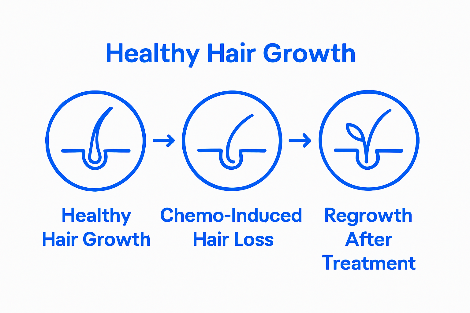 Visual comparison of healthy growth, chemo hair loss, and regrowth stages