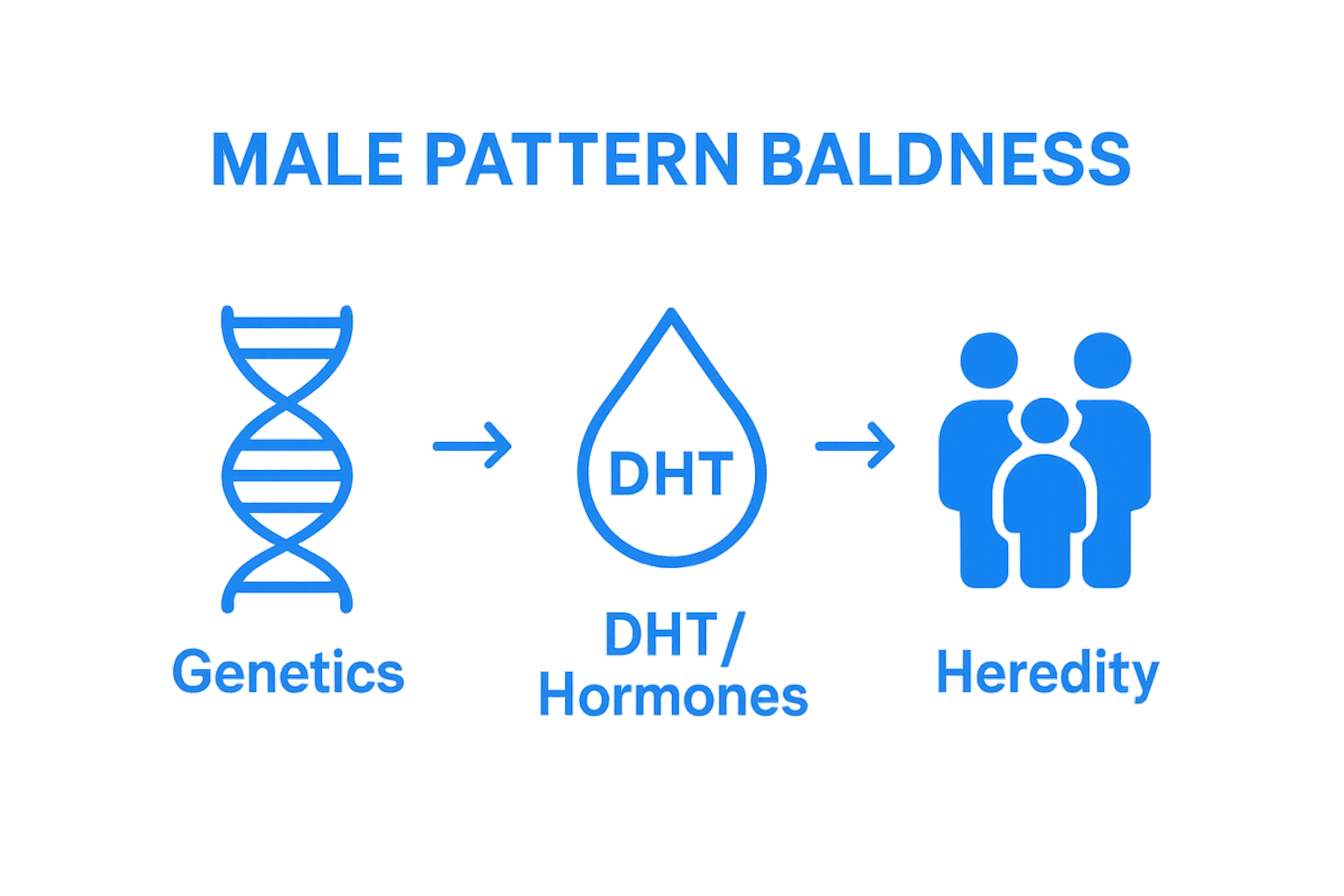 Genetics, DHT, and family history comparison infographic