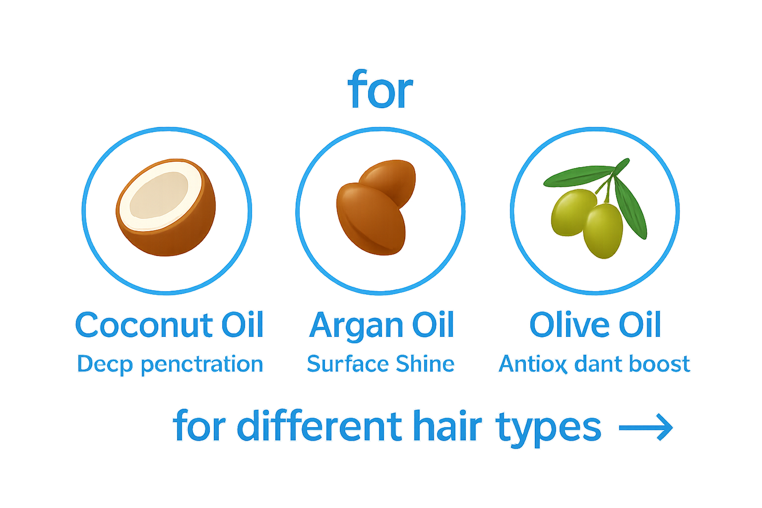 Infographic comparing coconut, argan, and olive oils for hair