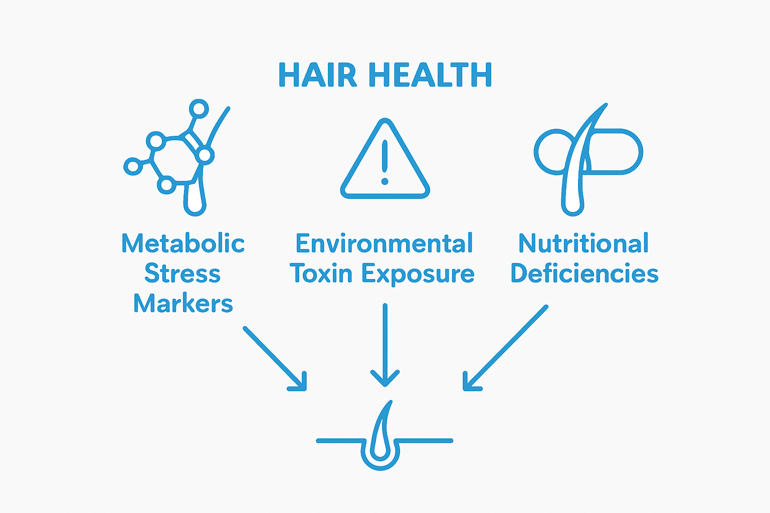 Key diagnostic results in hair loss hair analysis infographic