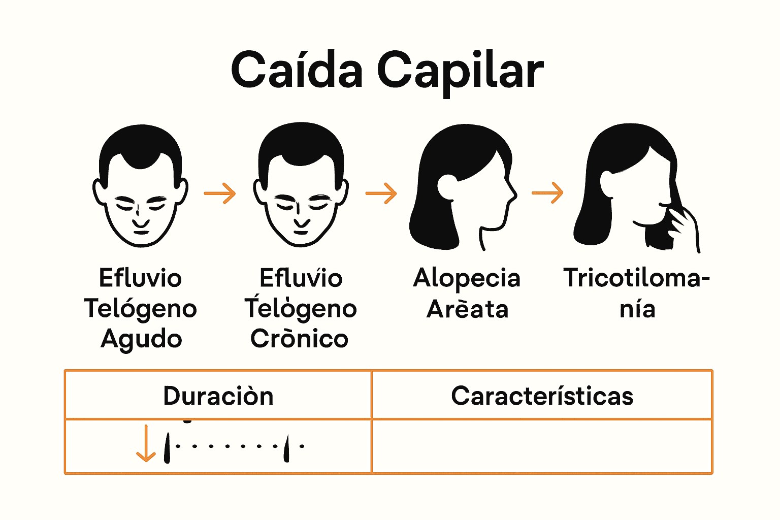 Infografía comparativa tipos de caída capilar por estrés